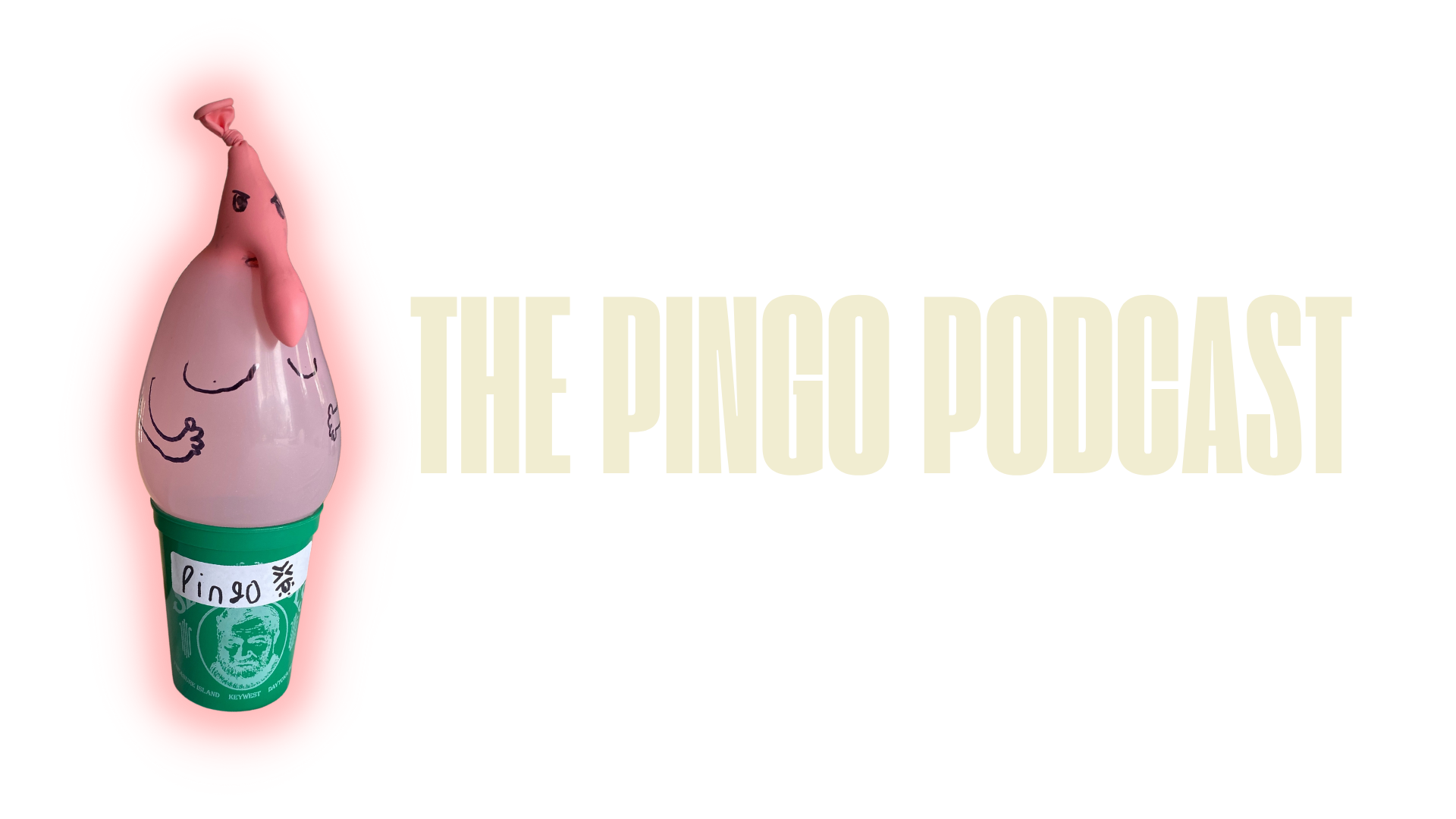 The Pingo Podcast